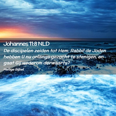 Picture 02 - Johannes 11:8 NLD - De discipelen zeiden tot Hem: Rabbi! de Joden - Bible Verse Picture