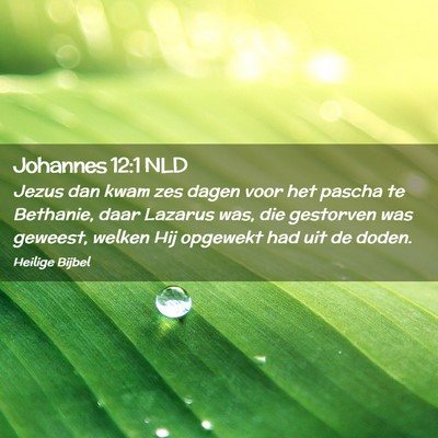 Picture 02 - Johannes 12:1 NLD - Jezus dan kwam zes dagen voor het pascha te - Bible Verse Picture