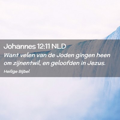 Picture 02 - Johannes 12:11 NLD - Want velen van de Joden gingen heen om - Bible Verse Picture
