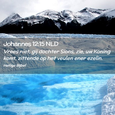 Picture 02 - Johannes 12:15 NLD - Vrees niet, gij dochter Sions, zie, uw Koning - Bible Verse Picture