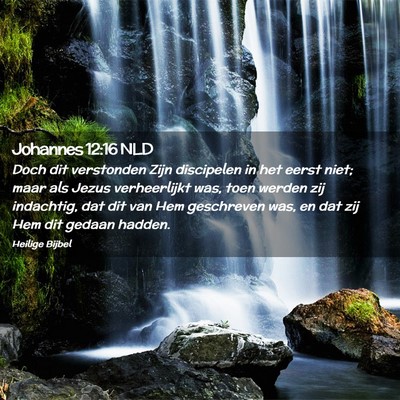 Picture 02 - Johannes 12:16 NLD - Doch dit verstonden Zijn discipelen in het eerst - Bible Verse Picture