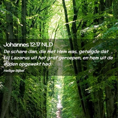 Picture 02 - Johannes 12:17 NLD - De schare dan, die met Hem was, getuigde dat Hij - Bible Verse Picture