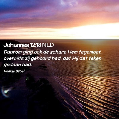 Picture 02 - Johannes 12:18 NLD - Daarom ging ook de schare Hem tegemoet, overmits - Bible Verse Picture