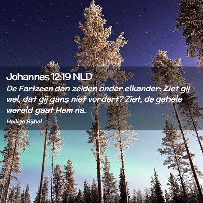 Picture 02 - Johannes 12:19 NLD - De Farizeen dan zeiden onder elkander: Ziet gij - Bible Verse Picture