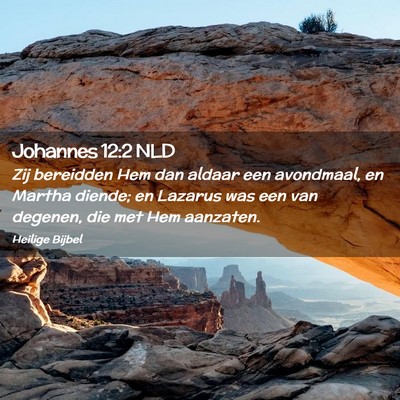 Picture 02 - Johannes 12:2 NLD - Zij bereidden Hem dan aldaar een avondmaal, en - Bible Verse Picture