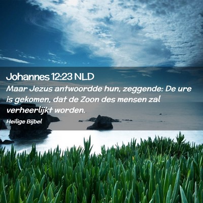 Picture 02 - Johannes 12:23 NLD - Maar Jezus antwoordde hun, zeggende: De ure is - Bible Verse Picture
