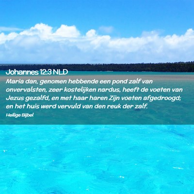 Picture 02 - Johannes 12:3 NLD - Maria dan, genomen hebbende een pond zalf van - Bible Verse Picture