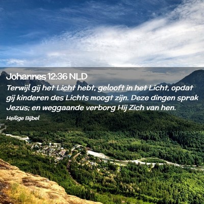 Picture 02 - Johannes 12:36 NLD - Terwijl gij het Licht hebt, gelooft in het Licht, - Bible Verse Picture