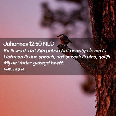 Picture 02 - Johannes 12:50 NLD - En Ik weet, dat Zijn gebod het eeuwige leven is. - Bible Verse Picture