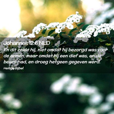 Picture 02 - Johannes 12:6 NLD - En dit zeide hij, niet omdat hij bezorgd was voor - Bible Verse Picture