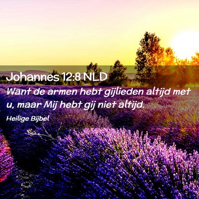 Picture 02 - Johannes 12:8 NLD - Want de armen hebt gijlieden altijd met u, maar - Bible Verse Picture