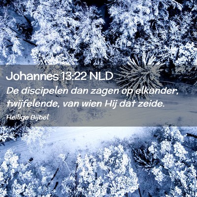 Picture 02 - Johannes 13:22 NLD - De discipelen dan zagen op elkander, twijfelende, - Bible Verse Picture