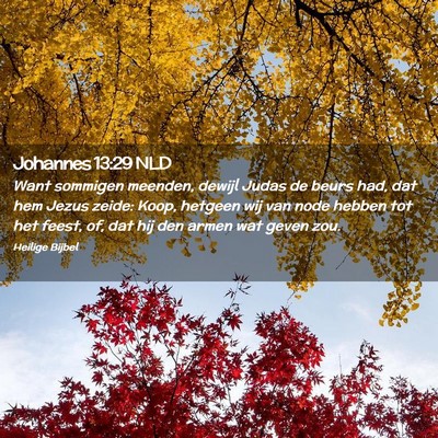Picture 02 - Johannes 13:29 NLD - Want sommigen meenden, dewijl Judas de beurs had, - Bible Verse Picture