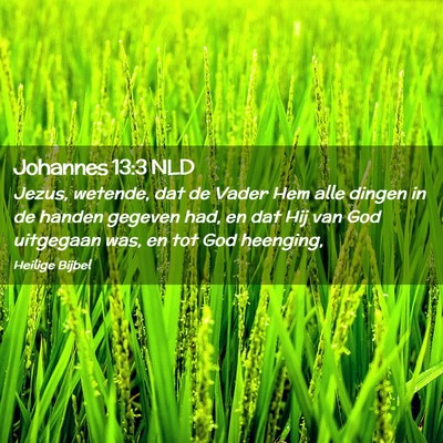 Picture 02 - Johannes 13:3 NLD - Jezus, wetende, dat de Vader Hem alle dingen in - Bible Verse Picture