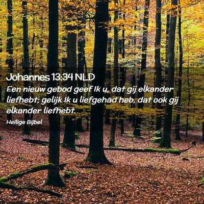 Picture 02 - Johannes 13:34 NLD - Een nieuw gebod geef Ik u, dat gij elkander - Bible Verse Picture