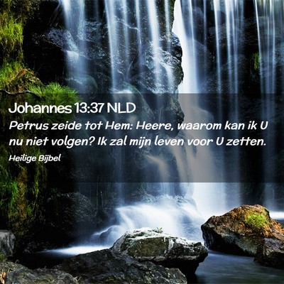 Picture 02 - Johannes 13:37 NLD - Petrus zeide tot Hem: Heere, waarom kan ik U nu - Bible Verse Picture