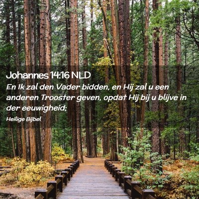 Picture 02 - Johannes 14:16 NLD - En Ik zal den Vader bidden, en Hij zal u een - Bible Verse Picture