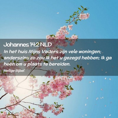Picture 02 - Johannes 14:2 NLD - In het huis Mijns Vaders zijn vele woningen; - Bible Verse Picture