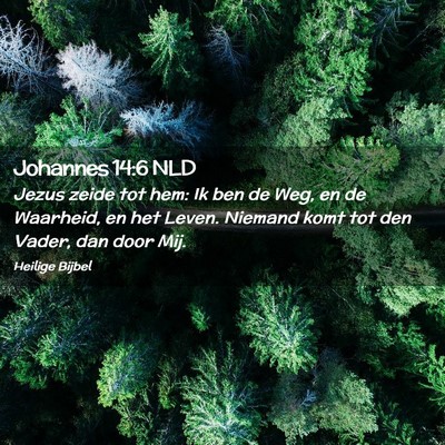 Picture 02 - Johannes 14:6 NLD - Jezus zeide tot hem: Ik ben de Weg, en de - Bible Verse Picture