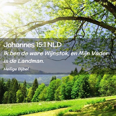 Picture 02 - Johannes 15:1 NLD - Ik ben de ware Wijnstok, en Mijn Vader is de - Bible Verse Picture