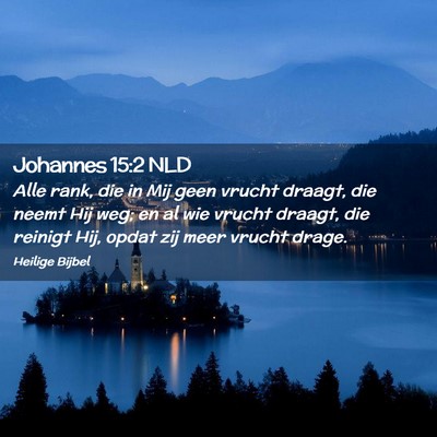 Picture 02 - Johannes 15:2 NLD - Alle rank, die in Mij geen vrucht draagt, die - Bible Verse Picture