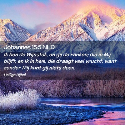Picture 02 - Johannes 15:5 NLD - Ik ben de Wijnstok, en gij de ranken; die in Mij - Bible Verse Picture