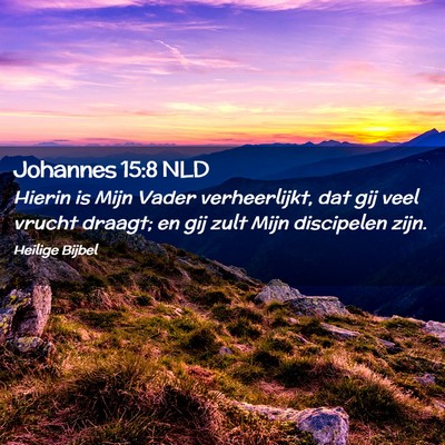Picture 02 - Johannes 15:8 NLD - Hierin is Mijn Vader verheerlijkt, dat gij veel - Bible Verse Picture