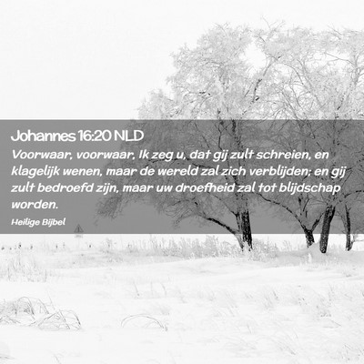 Picture 02 - Johannes 16:20 NLD - Voorwaar, voorwaar, Ik zeg u, dat gij zult - Bible Verse Picture