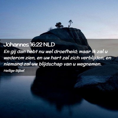 Picture 02 - Johannes 16:22 NLD - En gij dan hebt nu wel droefheid; maar Ik zal u - Bible Verse Picture