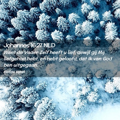 Picture 02 - Johannes 16:27 NLD - Want de Vader Zelf heeft u lief, dewijl gij Mij - Bible Verse Picture