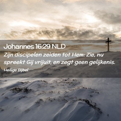 Picture 02 - Johannes 16:29 NLD - Zijn discipelen zeiden tot Hem: Zie, nu spreekt - Bible Verse Picture