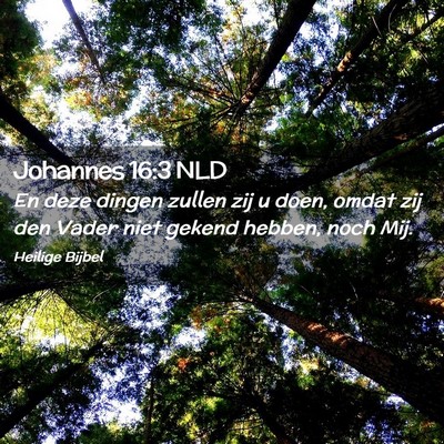 Picture 02 - Johannes 16:3 NLD - En deze dingen zullen zij u doen, omdat zij den - Bible Verse Picture