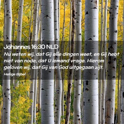Picture 02 - Johannes 16:30 NLD - Nu weten wij, dat Gij alle dingen weet, en Gij - Bible Verse Picture