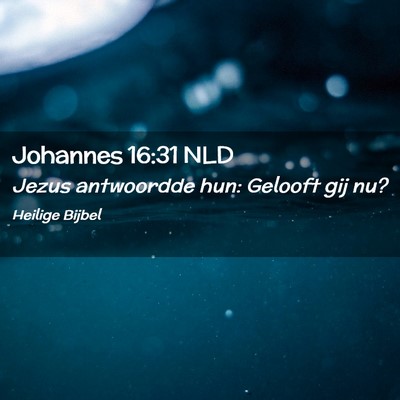 Picture 02 - Johannes 16:31 NLD - Jezus antwoordde hun: Gelooft gij - Bible Verse Picture