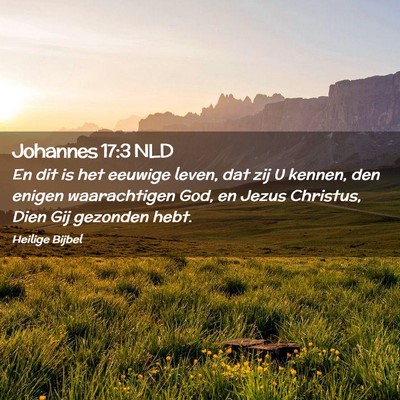 Picture 02 - Johannes 17:3 NLD - En dit is het eeuwige leven, dat zij U kennen, - Bible Verse Picture