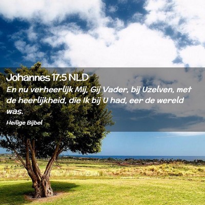 Picture 02 - Johannes 17:5 NLD - En nu verheerlijk Mij, Gij Vader, bij Uzelven, - Bible Verse Picture