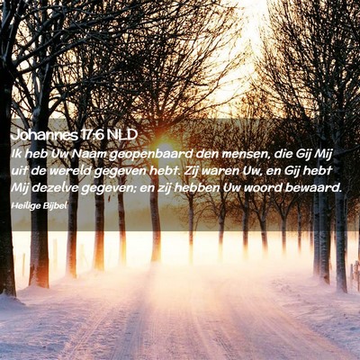 Picture 02 - Johannes 17:6 NLD - Ik heb Uw Naam geopenbaard den mensen, die Gij - Bible Verse Picture