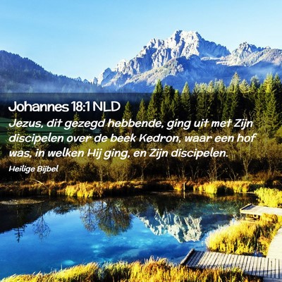 Picture 02 - Johannes 18:1 NLD - Jezus, dit gezegd hebbende, ging uit met Zijn - Bible Verse Picture