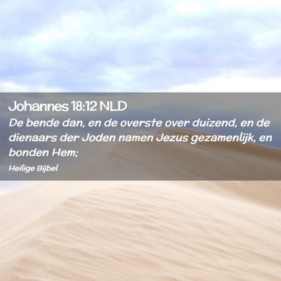 Picture 02 - Johannes 18:12 NLD - De bende dan, en de overste over duizend, en de - Bible Verse Picture