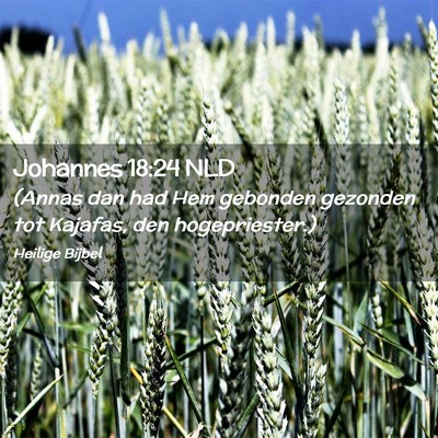 Picture 02 - Johannes 18:24 NLD - (Annas dan had Hem gebonden gezonden tot Kajafas, - Bible Verse Picture