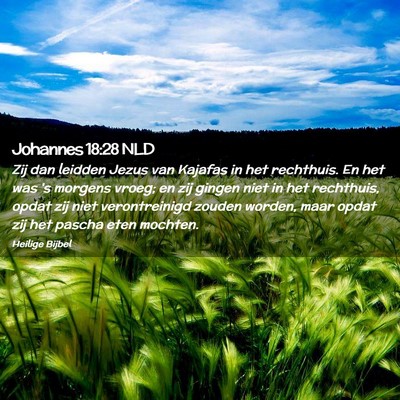 Picture 02 - Johannes 18:28 NLD - Zij dan leidden Jezus van Kajafas in het - Bible Verse Picture