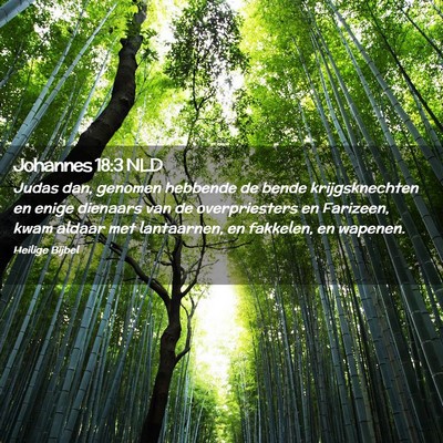 Picture 02 - Johannes 18:3 NLD - Judas dan, genomen hebbende de bende - Bible Verse Picture