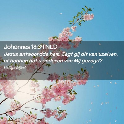 Picture 02 - Johannes 18:34 NLD - Jezus antwoordde hem: Zegt gij dit van uzelven, - Bible Verse Picture