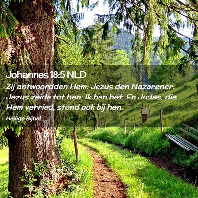 Picture 02 - Johannes 18:5 NLD - Zij antwoordden Hem: Jezus den Nazarener. Jezus - Bible Verse Picture