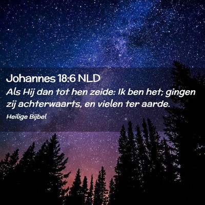 Picture 02 - Johannes 18:6 NLD - Als Hij dan tot hen zeide: Ik ben het; gingen zij - Bible Verse Picture