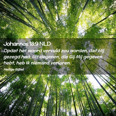 Picture 02 - Johannes 18:9 NLD - Opdat het woord vervuld zou worden, dat Hij - Bible Verse Picture