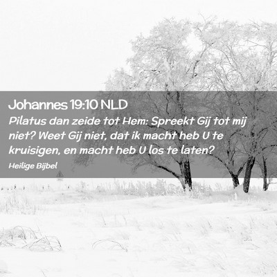 Picture 02 - Johannes 19:10 NLD - Pilatus dan zeide tot Hem: Spreekt Gij tot mij - Bible Verse Picture