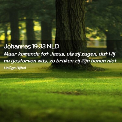 Picture 02 - Johannes 19:33 NLD - Maar komende tot Jezus, als zij zagen, dat Hij nu - Bible Verse Picture