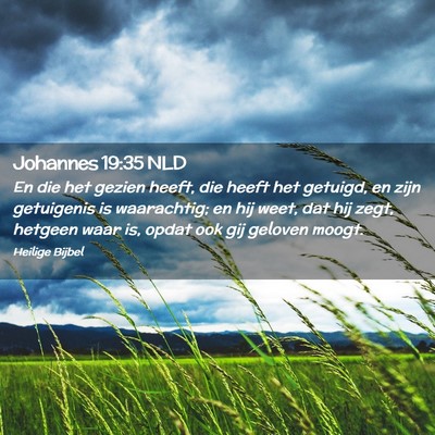 Picture 02 - Johannes 19:35 NLD - En die het gezien heeft, die heeft het getuigd, - Bible Verse Picture