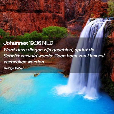 Picture 02 - Johannes 19:36 NLD - Want deze dingen zijn geschied, opdat de Schrift - Bible Verse Picture